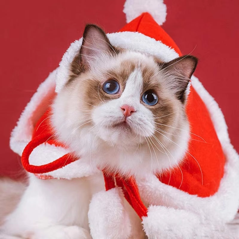 Adorable Santa Cat Costume - Festive Cape & Scarf for Dogs and Cats - Perfect Christmas Dress-Up Prop!